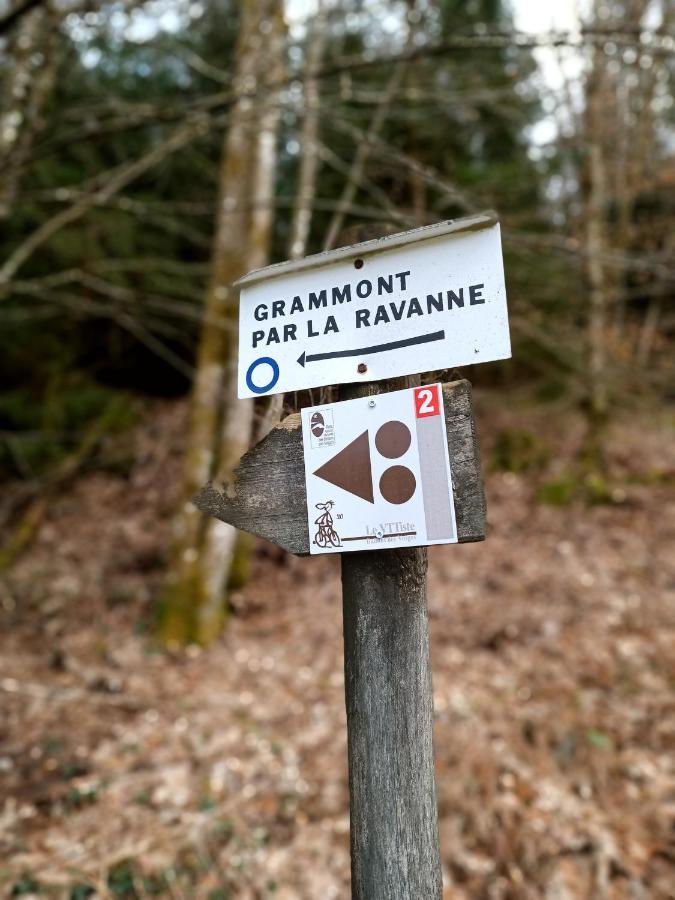 Gite De La Ravanne Ramonchamp Esterno foto